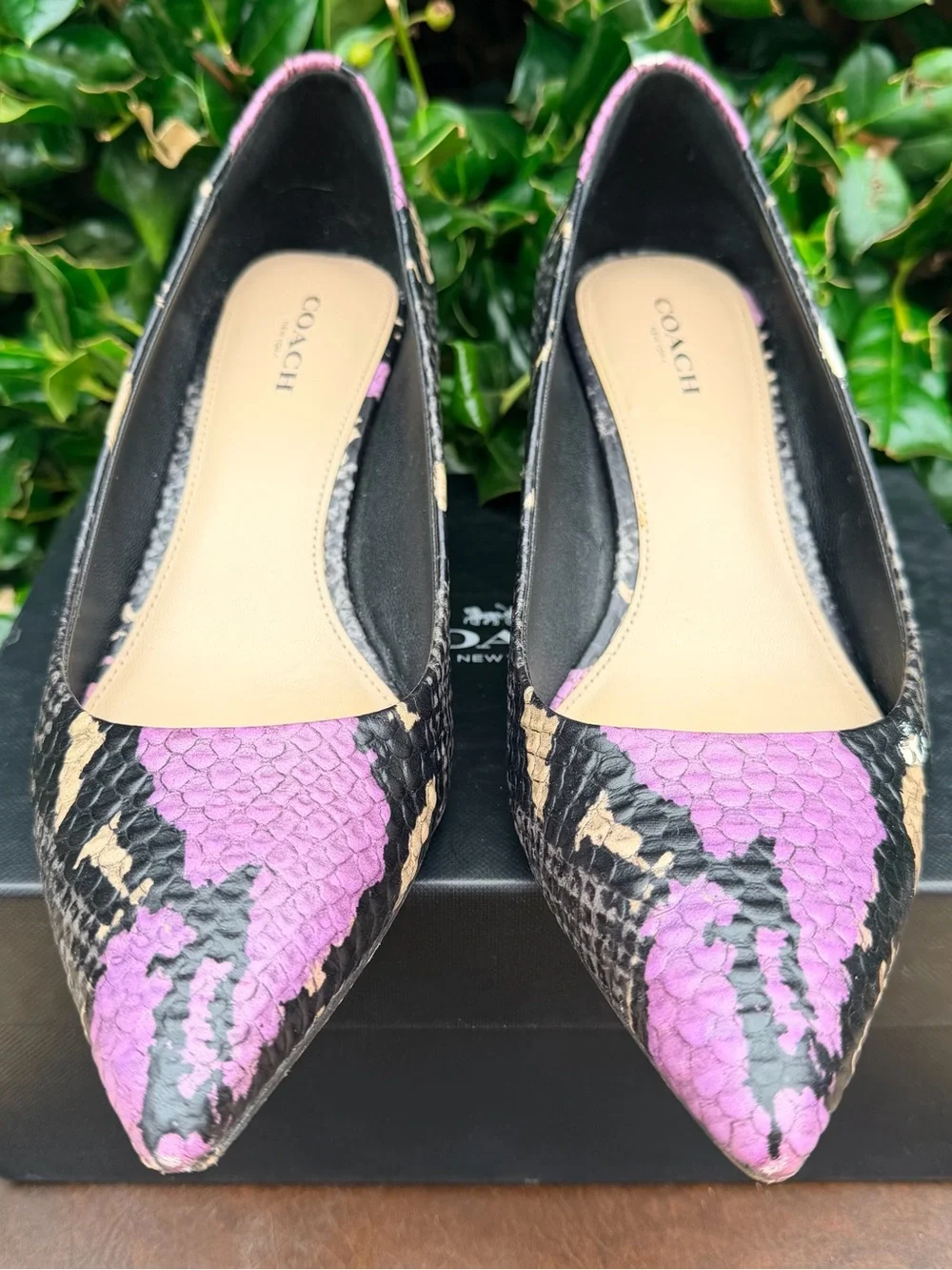 COACH Lacey Multi Python Pointed Toe Pumps - Picture 2 of 5